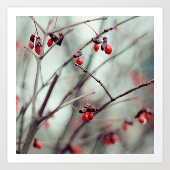 December Dream Art Print