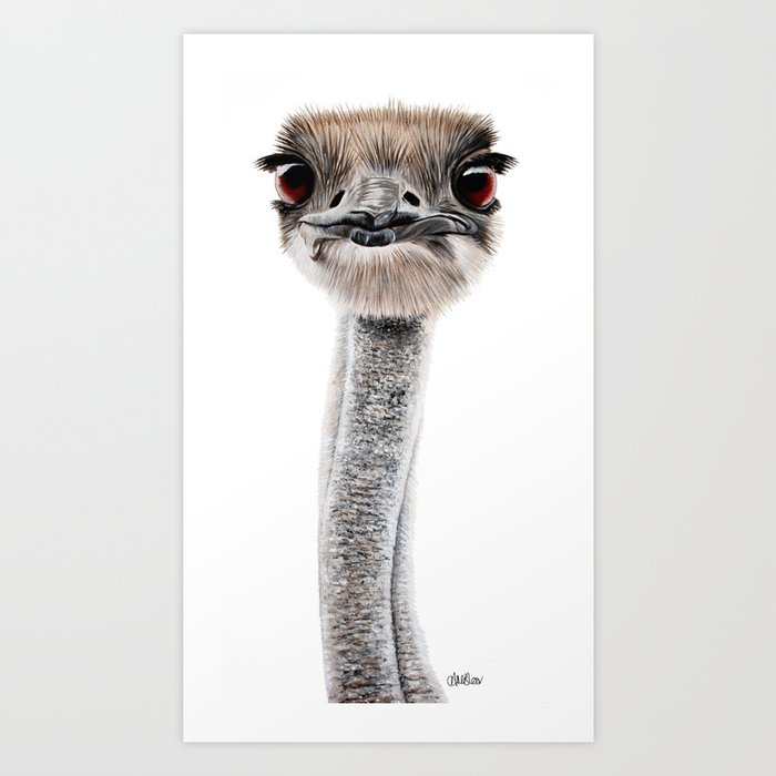BLACK WHITE SCANDINAVIAN EMU OSTRICH MODERN ART PRINT DESIGN WALL HANGING A4 