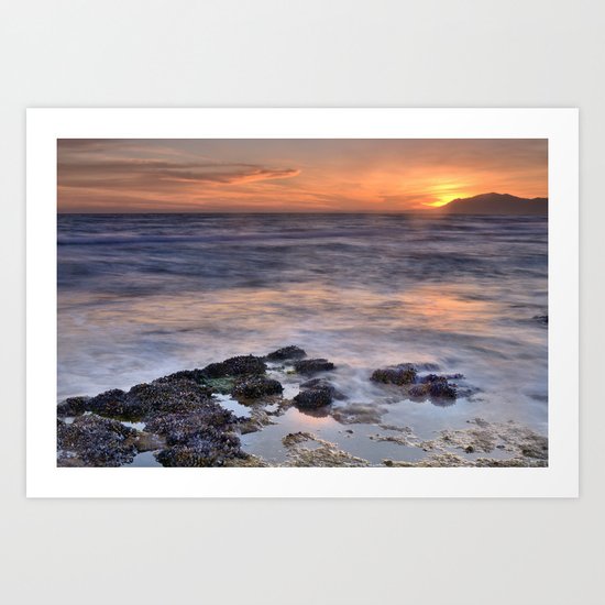 life on the rocks Art Print