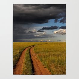 South Africa Photography - Desolate Road Going Through A Savannah Poster
