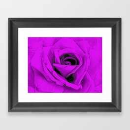 Modern Purple Rose Art A226c Framed Art Print