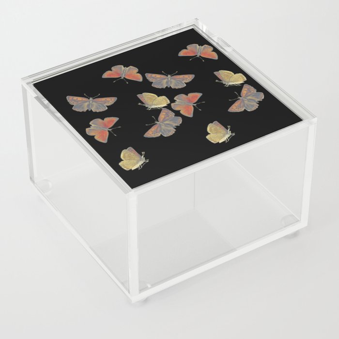 Butterflies Acrylic Box