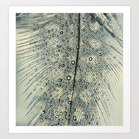 feather blue Art Print