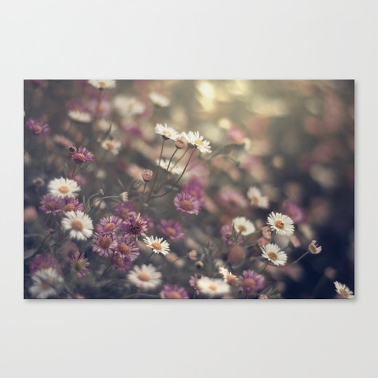 to fix your heart Canvas Print