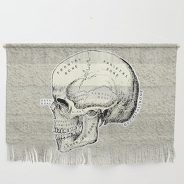 Old School Human Skull with Bones Names. Wall Hanging