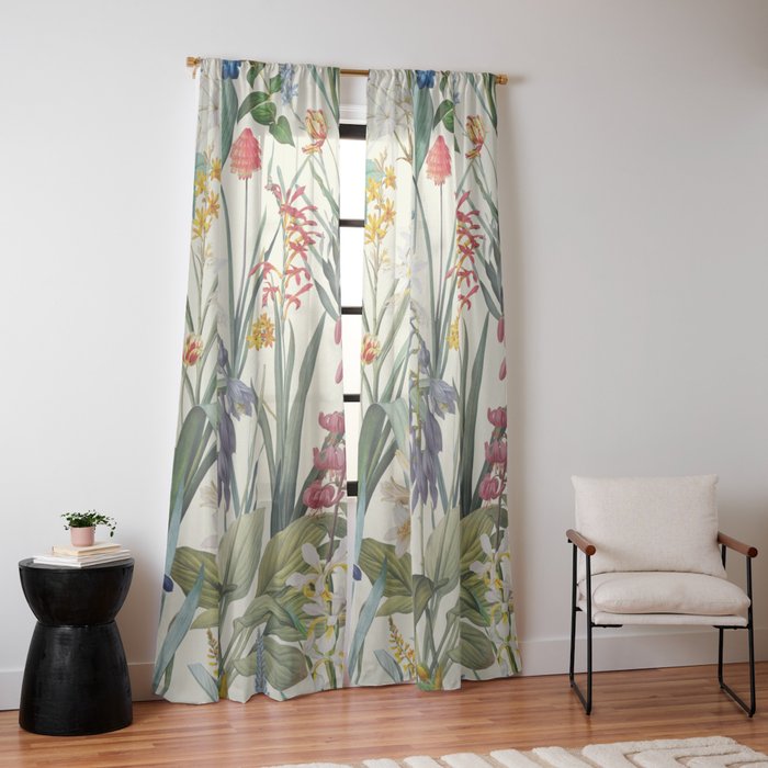 Window Curtain