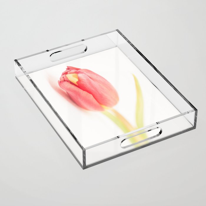 Tulips_01 Acrylic Tray