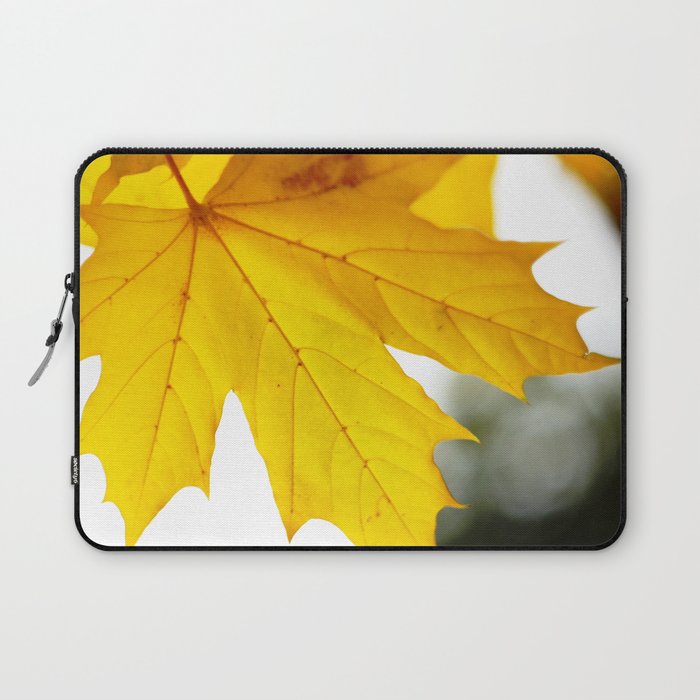 Yellow maple leaf. Laptop Sleeve