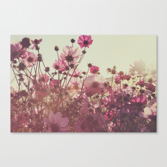 October Blooming 01 Canvas Print