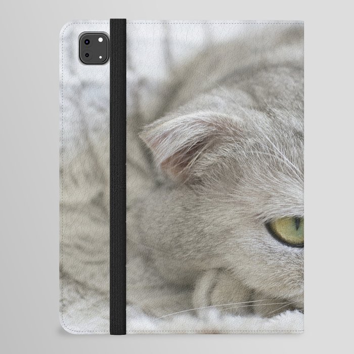 Cute Grey Cat iPad Folio Case