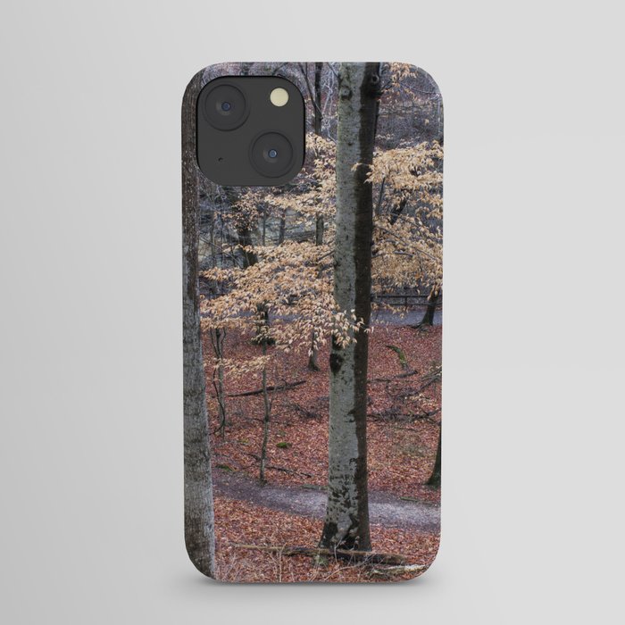 Path in the Woods iPhone Case