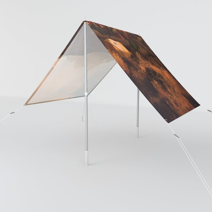 Patagonia discount sun shade