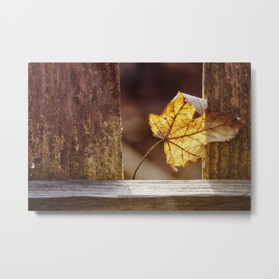 catching warmth Metal Print