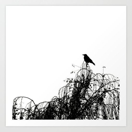 Black Bird Art Print