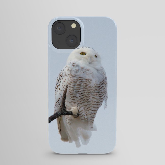 Lofty Vision: Snowy Owl iPhone Case