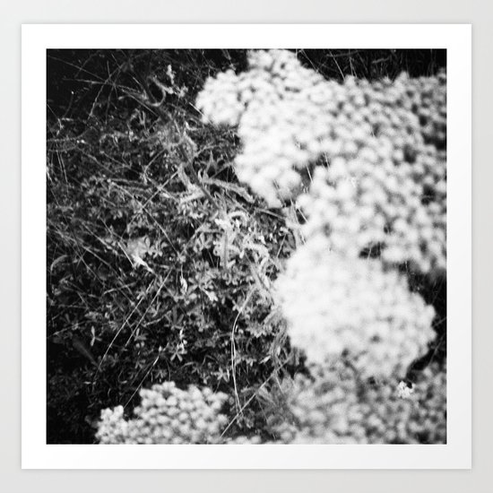 La Bonheur Art Print