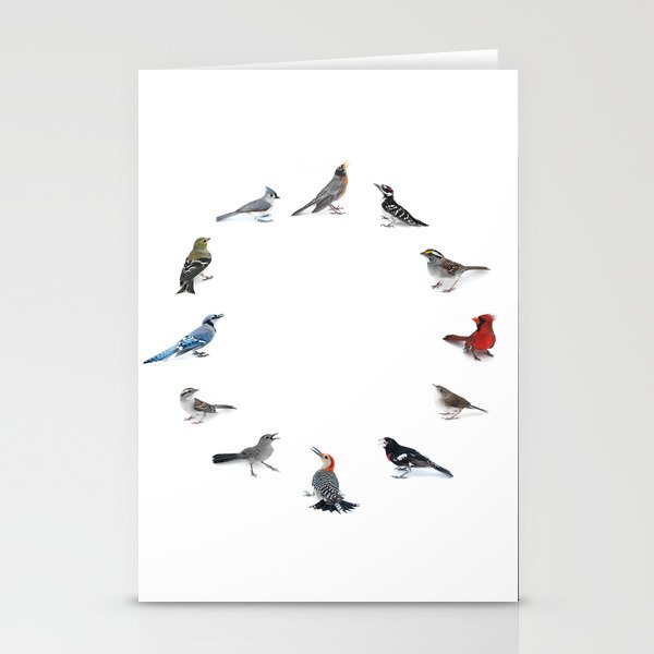 Multi-Bird 1 Stationery Cards
