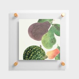 Fruit Medley Floating Acrylic Print