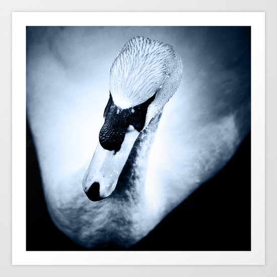 Swan 1 Art Print