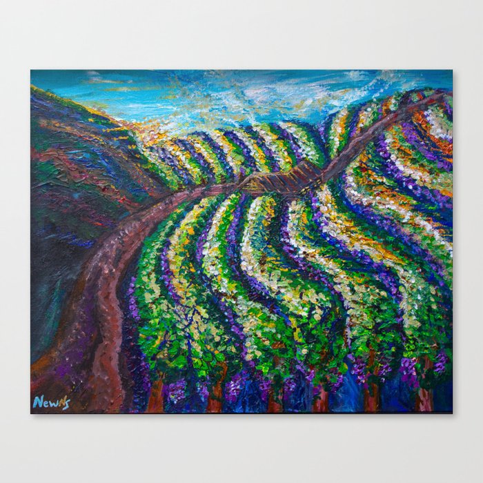 Vineyard Sunset Canvas Print