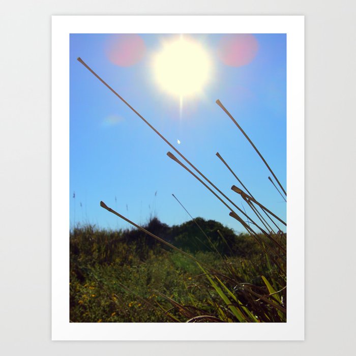 sunburst over reeds Art Print