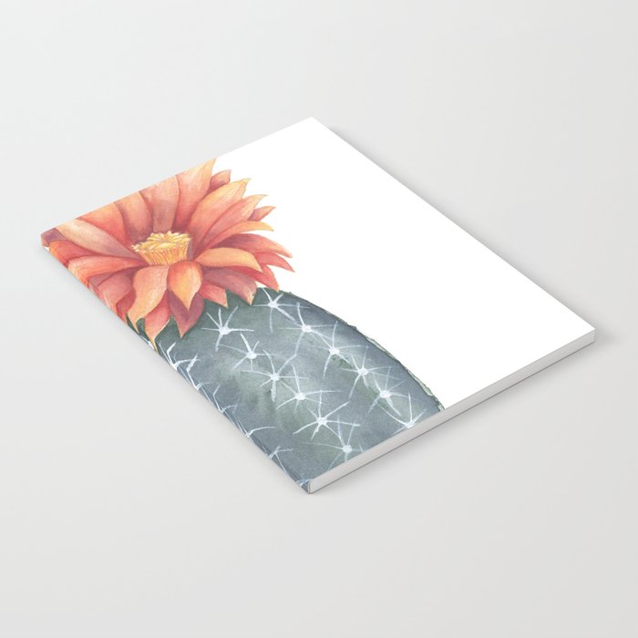 Gymnocalycium Baldianum Cactus Flower Notebook By Boelterdesignco