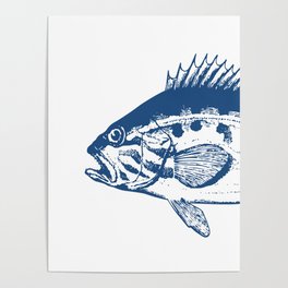 Vintage Fish Left Side Poster