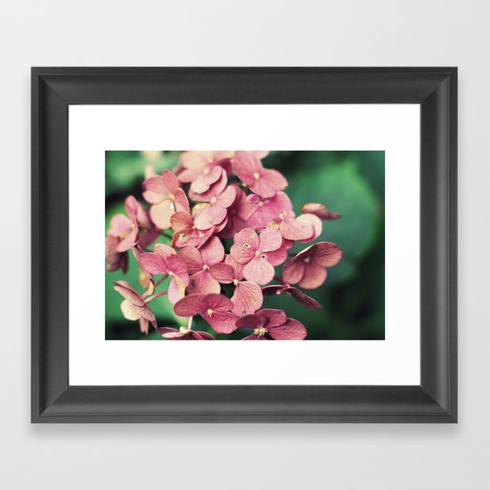 Hydrangea Framed Art Print