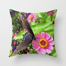 Butterfly on Pink Zinnia Throw Pillow