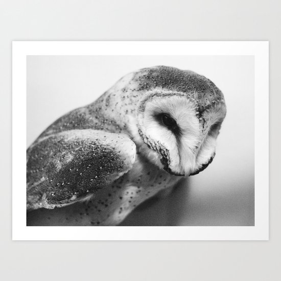 Hoot Art Print