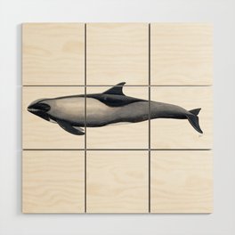 Melon-headed whale Wood Wall Art
