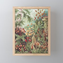 Mushroomlandia Vintage Botanical Print by Ernst Haeckel Framed Mini Art Print