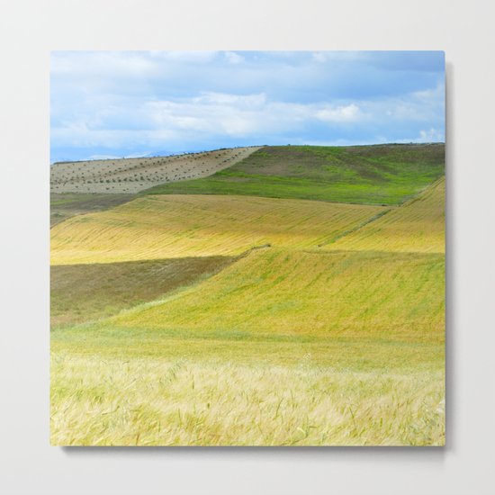 Yellow fields Metal Print