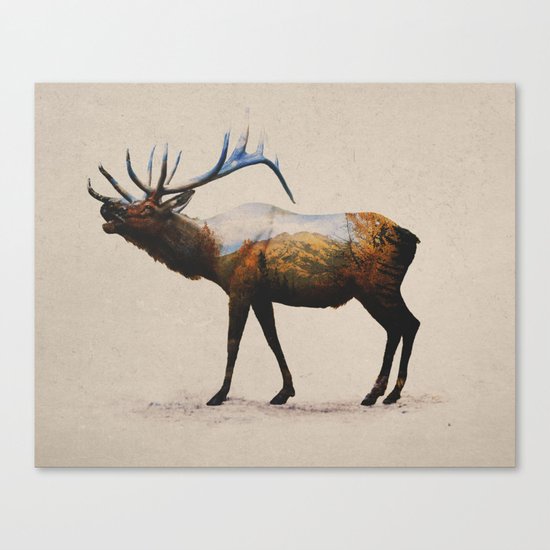 The Rocky Mountain Elk Canvas Print