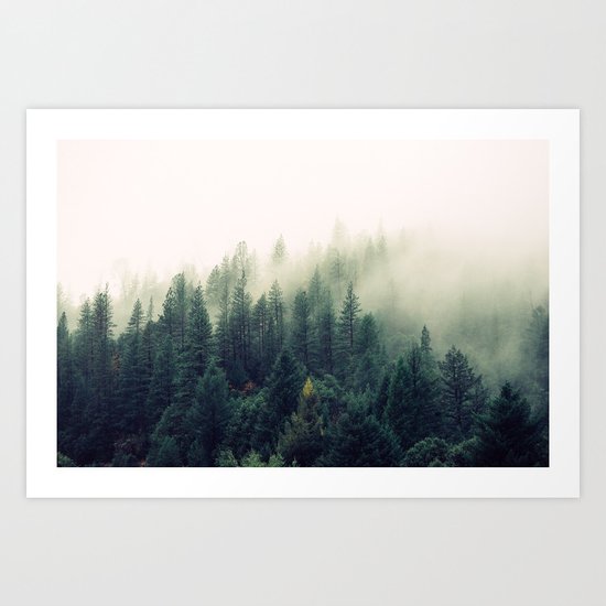 The Foggy Forest Art Print