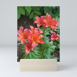 Tiger Lily Mini Art Print