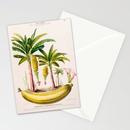 Banana from "Flore d’Amérique" by Étienne Denisse, 1840s Stationery Card