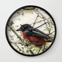 Crimson-breasted Shrike Wall Clock | Photo, Texture, Branches, Bird, White, Shrike, Crimson Breasted, Kalaharidesert, Botswana, Black 