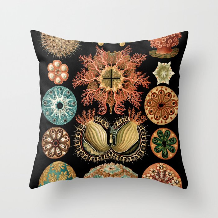 Sea Life Illustrations by Ernst Haeckel, 1904 Throw Pillow