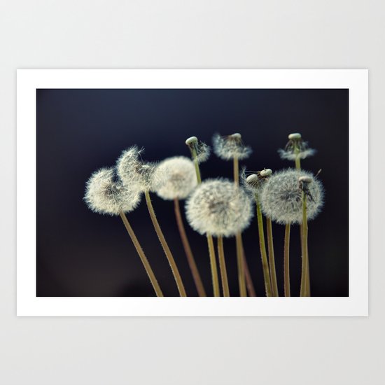 {wishes} Art Print