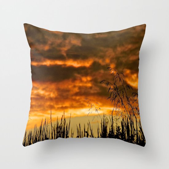 Goodbye Daylight Throw Pillow