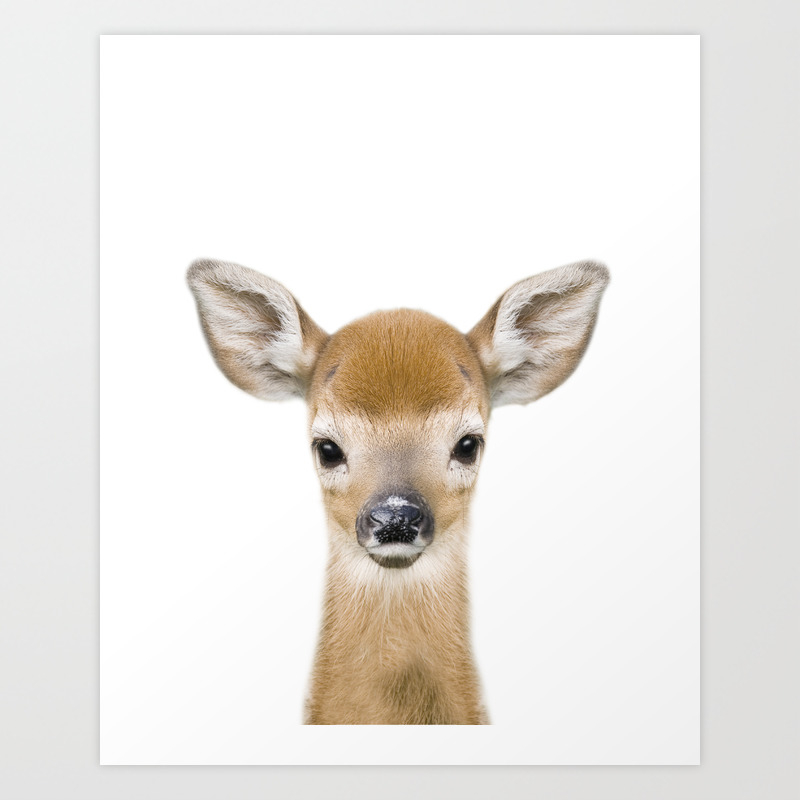 Baby Deer Art Print By Studio42 Society6