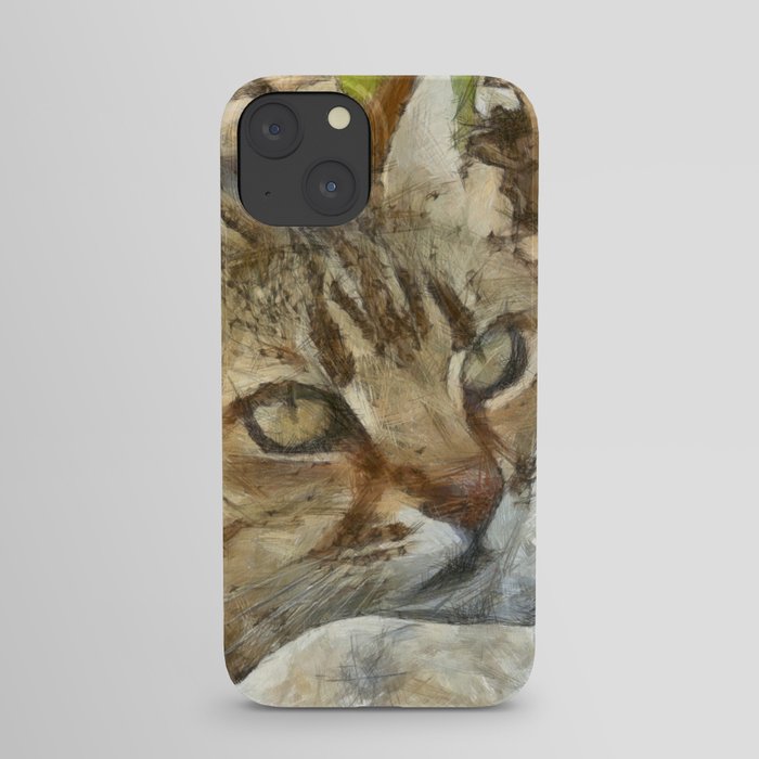 Relaxed Tabby Cat Resting In Garden iPhone Case