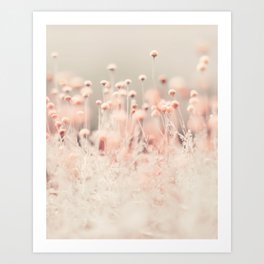 Pastel Pink Flower photography Art Print