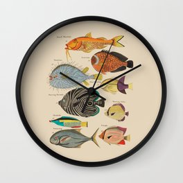 Angry Puffer Fish and Others by Louis Renard 18th century Wall Clock