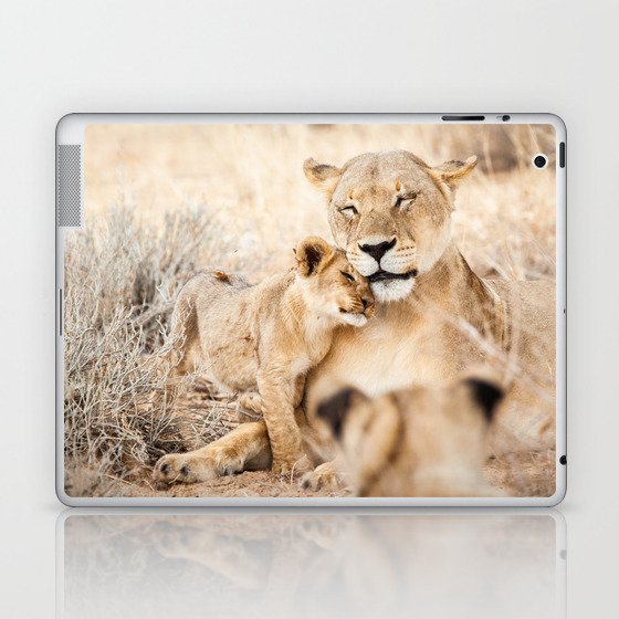 Lioness and a cub cuddling together; fine art travel photo Laptop & iPad Skin