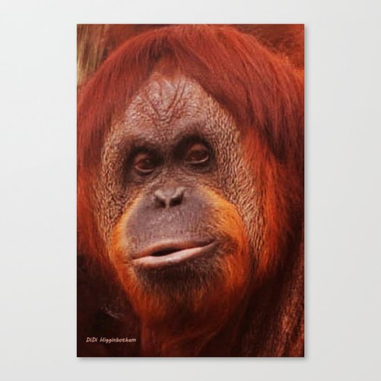 Duck Lips Canvas Print