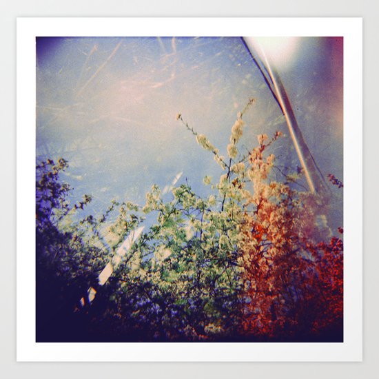 Holga Flowers IV Art Print