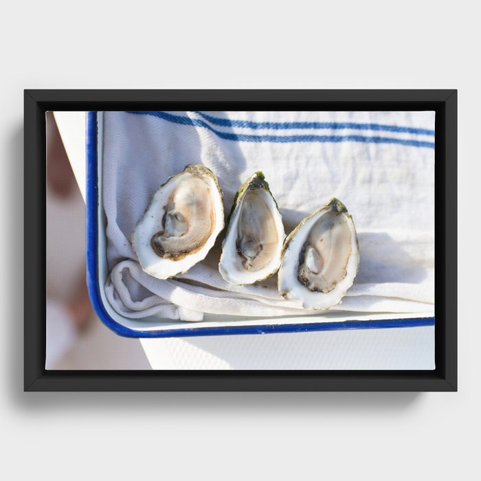 Oysters on Duxbury Bay Framed Canvas