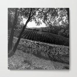 Vineyard in California Black & White Pencil Drawing Photo Metal Print | Vineyardsincalifornia, Framedartprints, Hatching, Harvest, Contemporary, Black and White, Artprints, Graphicdesign, Digital, Popart 